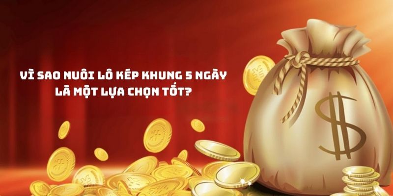 Bí quyết nuôi lô kép khung 5 ngày tốt nhất