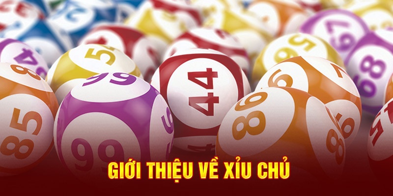 Tìm hiểu sơ lược khái niệm xỉu chủ là gì?