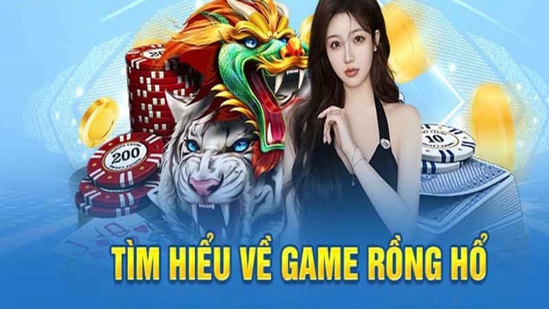 Cách chơi Rồng Hổ tại 8Kbet